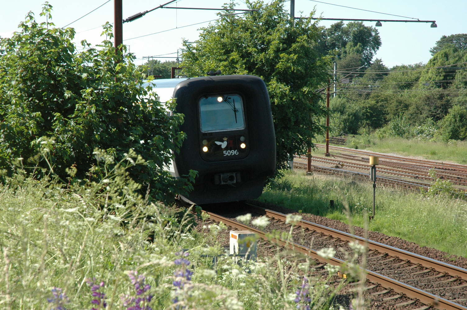10-06-2007 16-10-45 MF s�t 96 ved I-signalet til FA