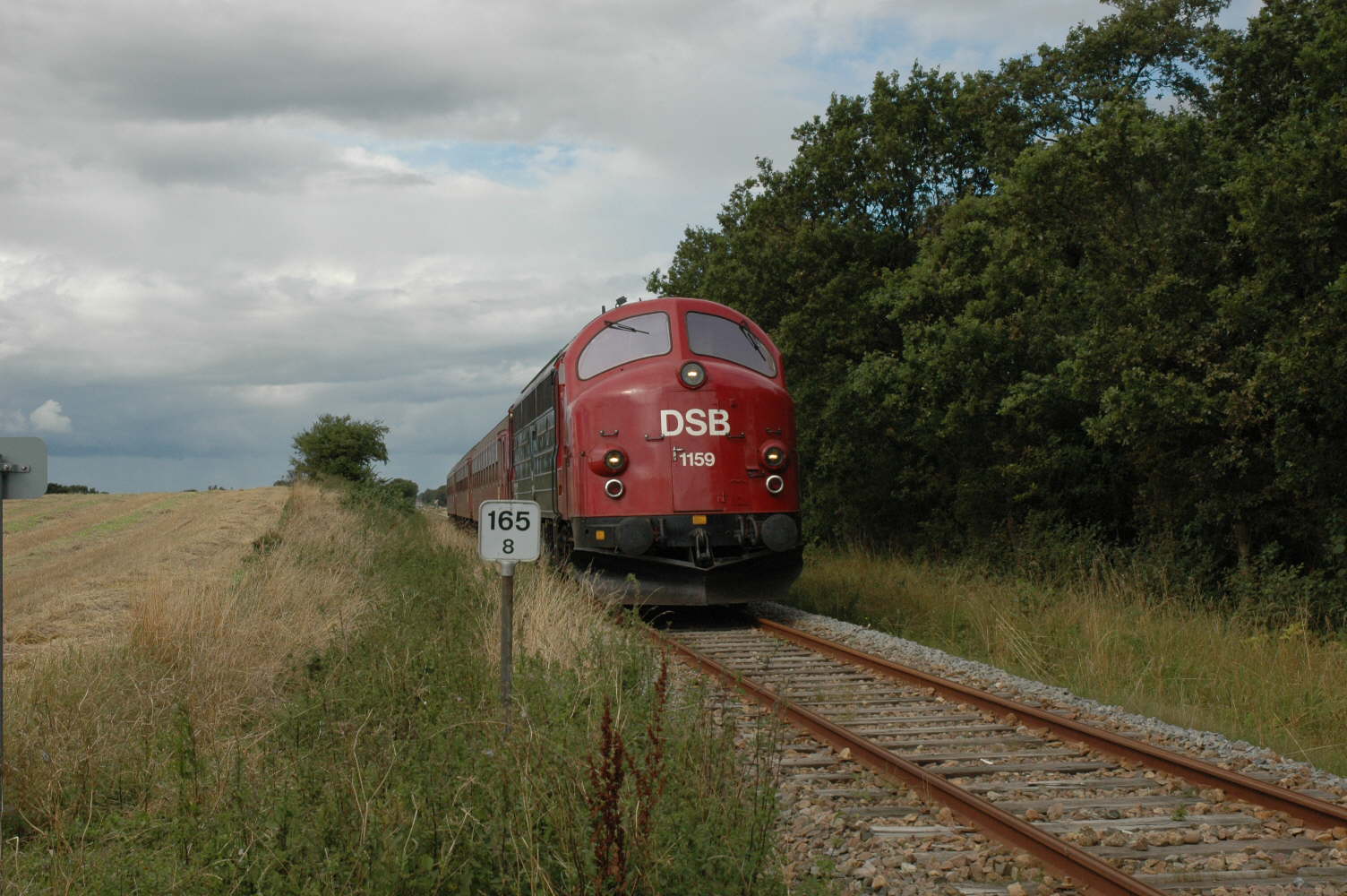 DSC_0088